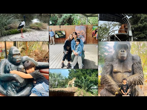 Visit to Perth Zoo | Family Time | Fun Day