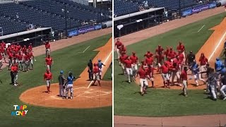 Fight breaks out on the field between the Single-A Yankees and Phillies