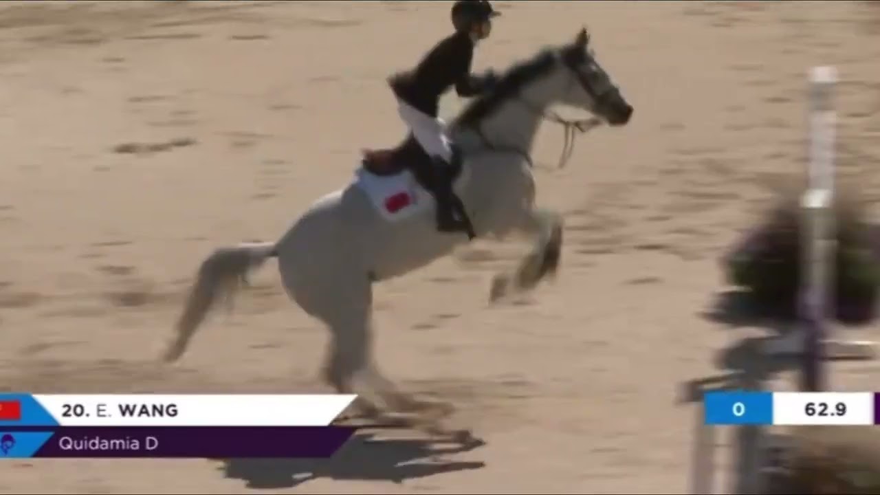 Quidamia D & Ella are making history in the Agria FEI World Jumping Championship at Herning 2022