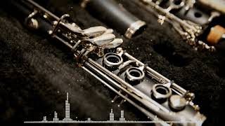 Ivars Schwalbe   Cascade.  Clarinet Fusion Music. screenshot 5