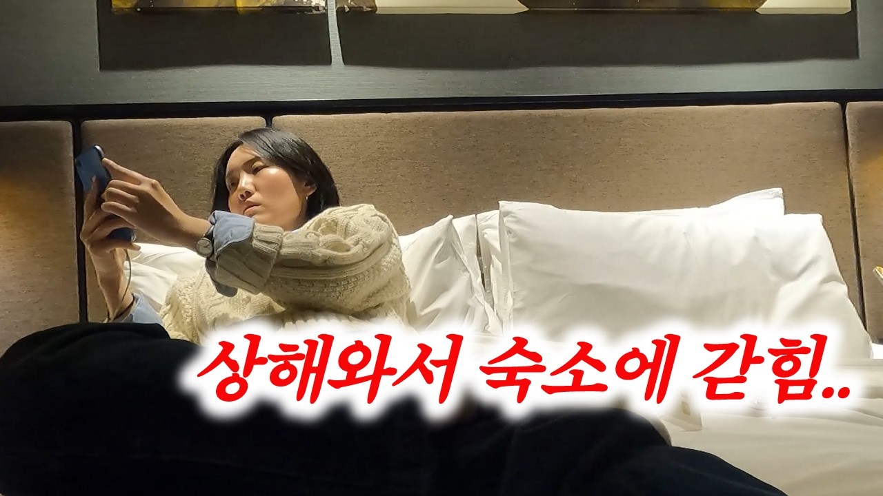 알리페이 먹통의 비극.. 상해여행 2박3일 (알리페이, 위챗페이안될때,어플,고덕지도,사용법,택시,난징동루,좌정우원,팝마트,텔레토비키링,향신료,음식입맛)