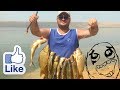 SHAMKIR FISHING! ЛОВЛЯ САЗАНА ! ХОРОШЕЕ МЕСТО!