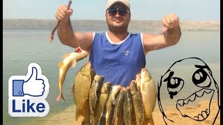 SHAMKIR FISHING! ЛОВЛЯ САЗАНА ! ХОРОШЕЕ МЕСТО!