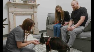 Honor Pet: About Us and Services