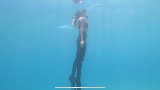 DIVE LOG: Weekend Fun Dive with Bruce