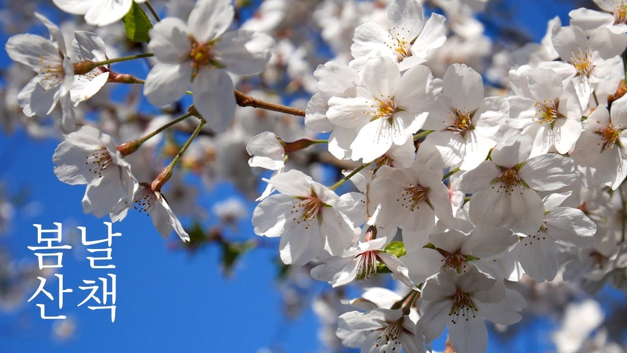 ASMR A Windy Spring Day YouTube asmr-a-windy-spring-day-youtube