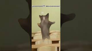 pov:типичны мой день в школе ( делать 2 часть?) #cat #р_е_к_о_м_е_н_д_а_ц_и_и_ #рек #пжрек #котики