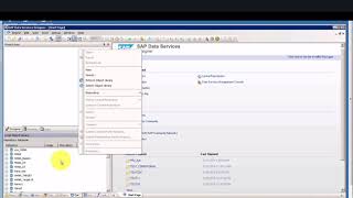 2 Create a data store to connect to a SAP HANA database Net Worth