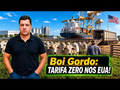 Tarifa zero por 90 dias muda o jogo e abre nova oportunidade para a carne bovina brasileira!