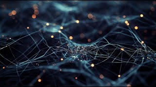 A multiscale map of inflammatory stress | Frontiers in Science