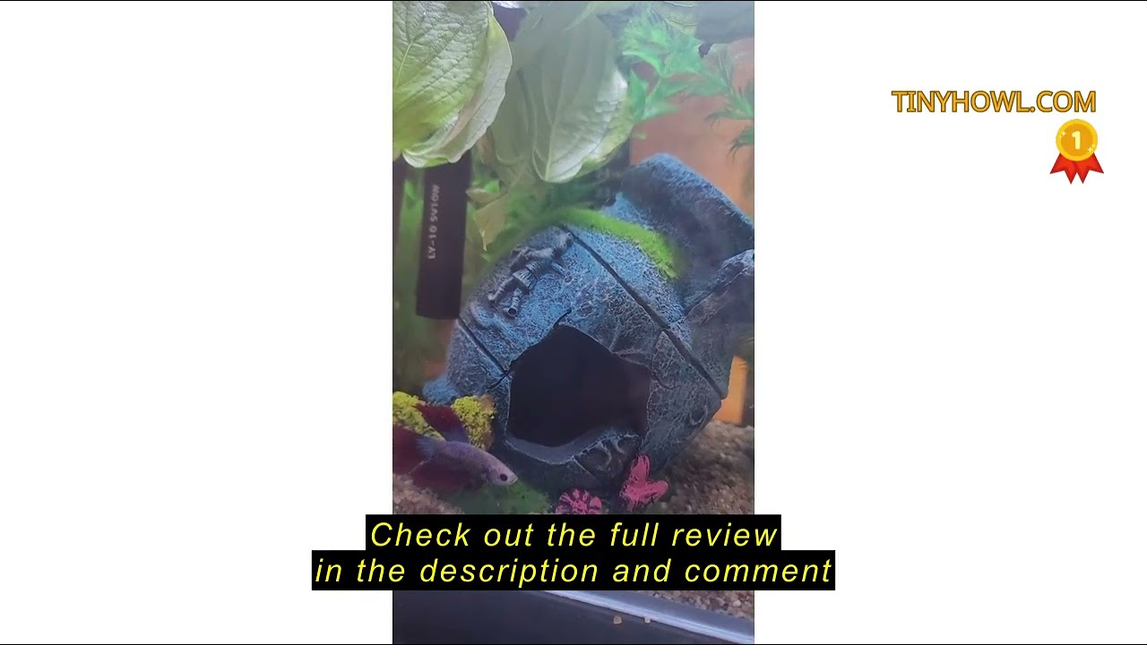 Review Wonderfactory Desktop Small Aquarium Set Glass Fish Tank 1.25 Gallon, Heater Water Pump Filte