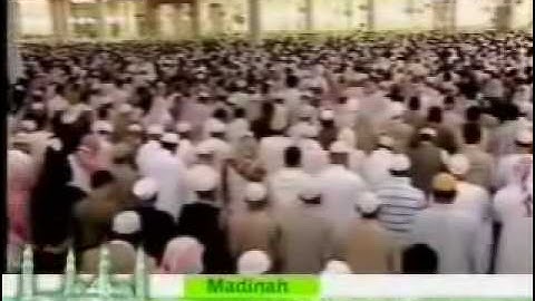 نلاوة طيبة مباركة من سورة الزمر للشيخ علي الحذيفي