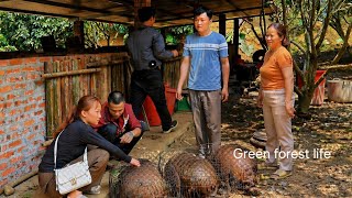 Robert sold the big pigs, saved money to build a new house, bring Mai home. Green forest life 