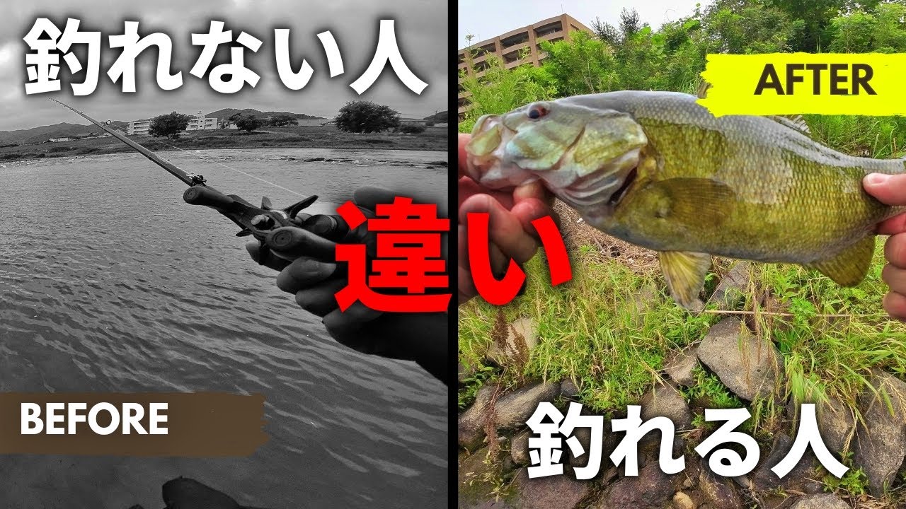 釣れる人と釣れない人の大きな違いについて解説(場所以外)「初心者