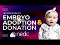 Introduction to Embryo Adoption & Donation