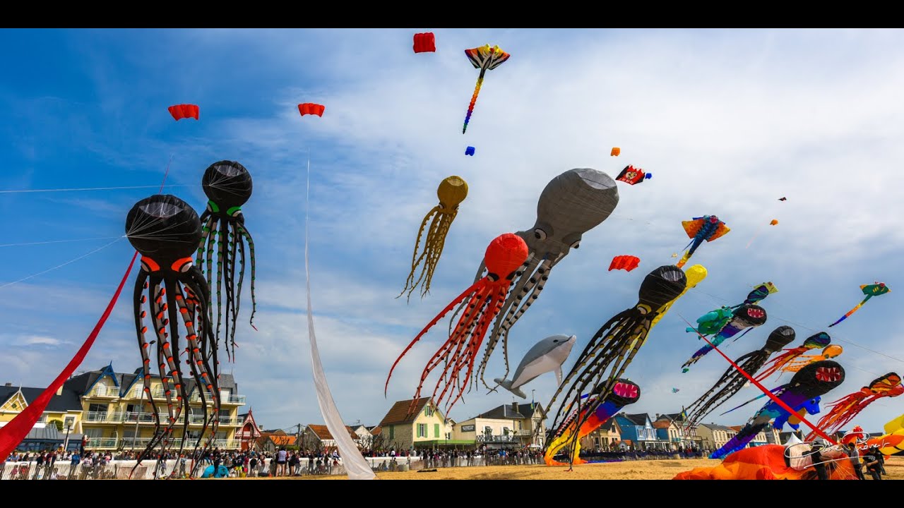 Cerf-Volant Cerf - Volant De Plage Géant Pour Adultes, Cerf - Volant De  Danse Du Lion De