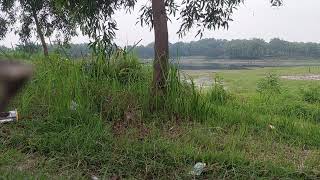 Ratu Dangdut Mega Mustika  Album Dangdut Terbaik Sepanjang Masa