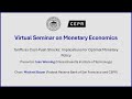 Virtual Seminar on Monetary Economics - Ivan Werning (Massachusetts Institute of Technology)