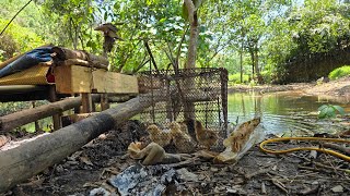 Water-powered rice mill - Ancient technology, yet a marvel