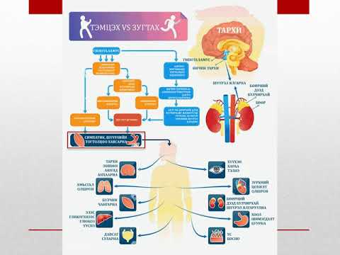 Видео: Айхыг хэрхэн зогсоох вэ - айдсын асуудлыг хэрхэн системтэйгээр шийдвэрлэх талаар сурах