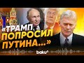 Песков об энергетическом перемирии и личной просьбе Трампа к Путину  - Baku TV | RU