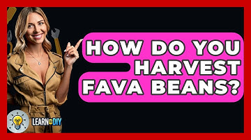 How Do You Harvest Fava Beans? - LearnToDIY360.com