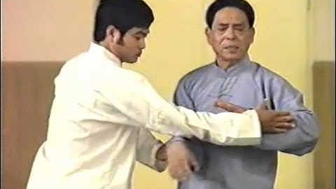 Feng Zhiqiang Demonstrates Taiji