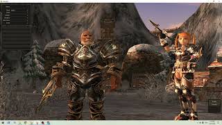 Introduction to Lineage 2 races