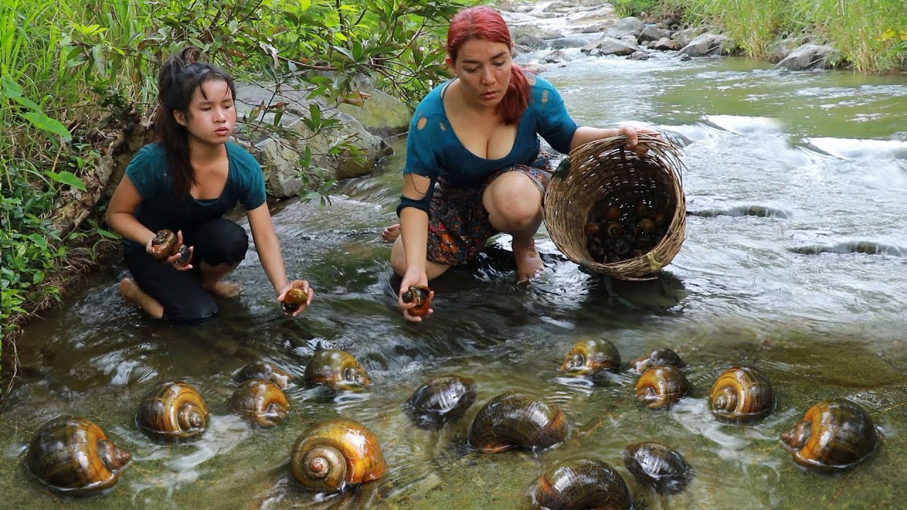 Catch snail river for food/ Stir fry snail spicy eating deicious