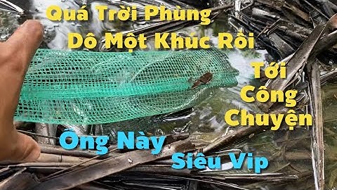 Cái Túi Lưới Nó Phùng Bự Lắm Đó Bửa Nay Dô Một Khúc Nửa Rồi | Cù Lao Dung Vlogs #847