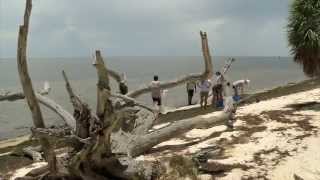UF/IFAS CALS Island Biology Class