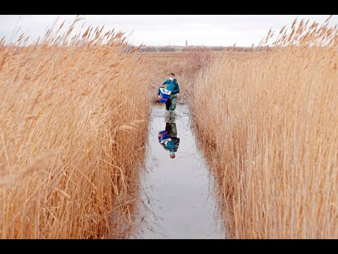 Comienzan los trabajos del proyecto Life Wetlands4Climate