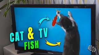 Cat Chases Fish on TV Then Climbs on Top