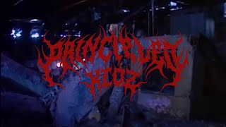 PRINCIPLED KIDZ   THE SARCOPHAGUS OFFICIAL VISUALIZER 2025 SW EXCLUSIVE