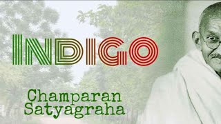 Indigo Class- XII Flamingo || AUDIOBOOK || BY ~ TULIKA @AnandAudio @Audiobook4free