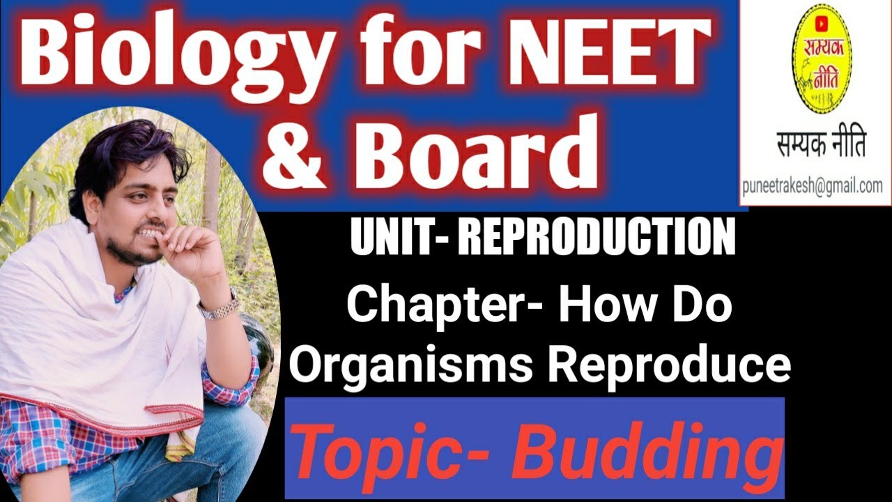 Budding A type of Asexual Reproduction For NEET & Board