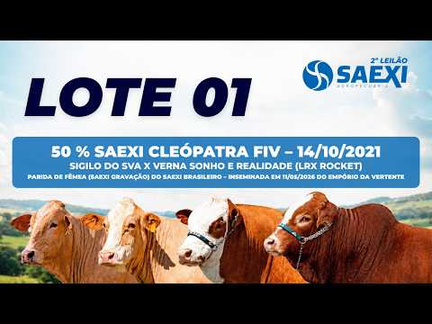 LOTE 1 - SAEXI CLEOPATRA FIV E SAEXI GRAVAÇÃO