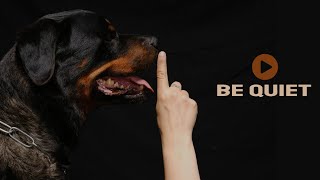 Sound For Dogs To Be Quiet