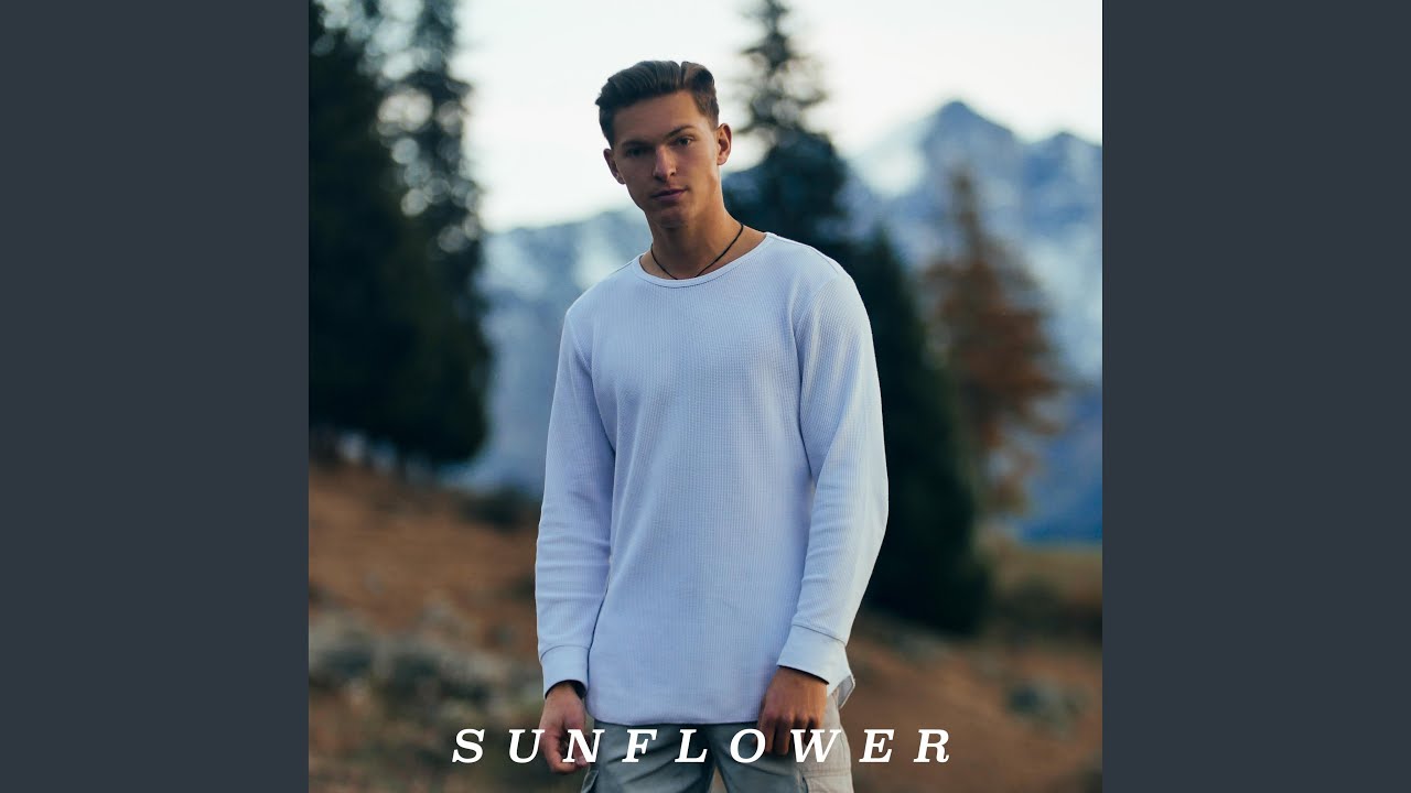 Guarda Sunflower su YouTube Guarda Sunflower su YouTube