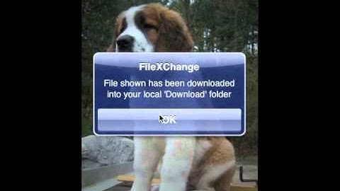 FileXChange 1.3 by iStartApp: now with Dropbox and Google Docs services