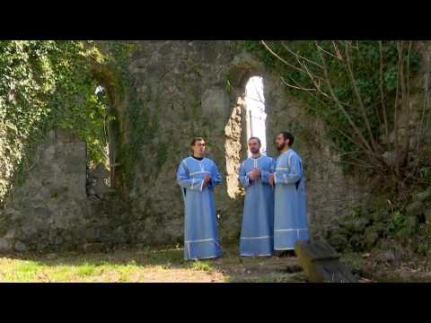 \"სულთა თანა\" • \"ტრიო ხელხვავი\" (ოზურგეთი)