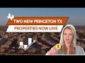Realbricks Expands Further into Princeton Texas