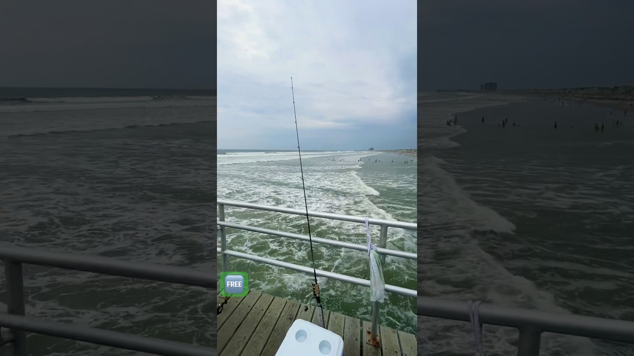 Support your local wild life!  Happy Labor Day🥵🫡 