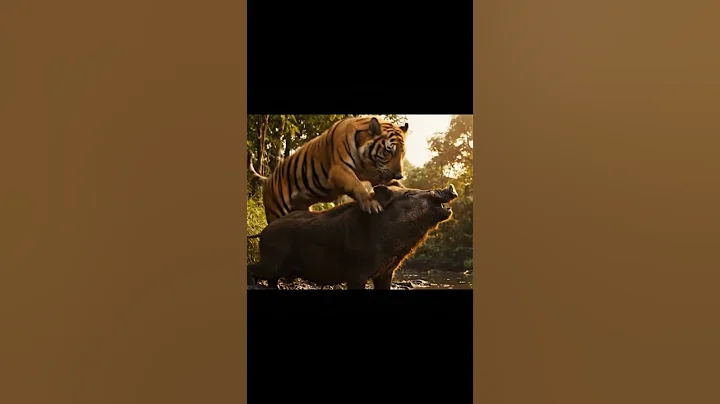 Predator Attack! Tiger vs Boar Struggle Begins! 😯🙄 #wildlife #shorts #viral