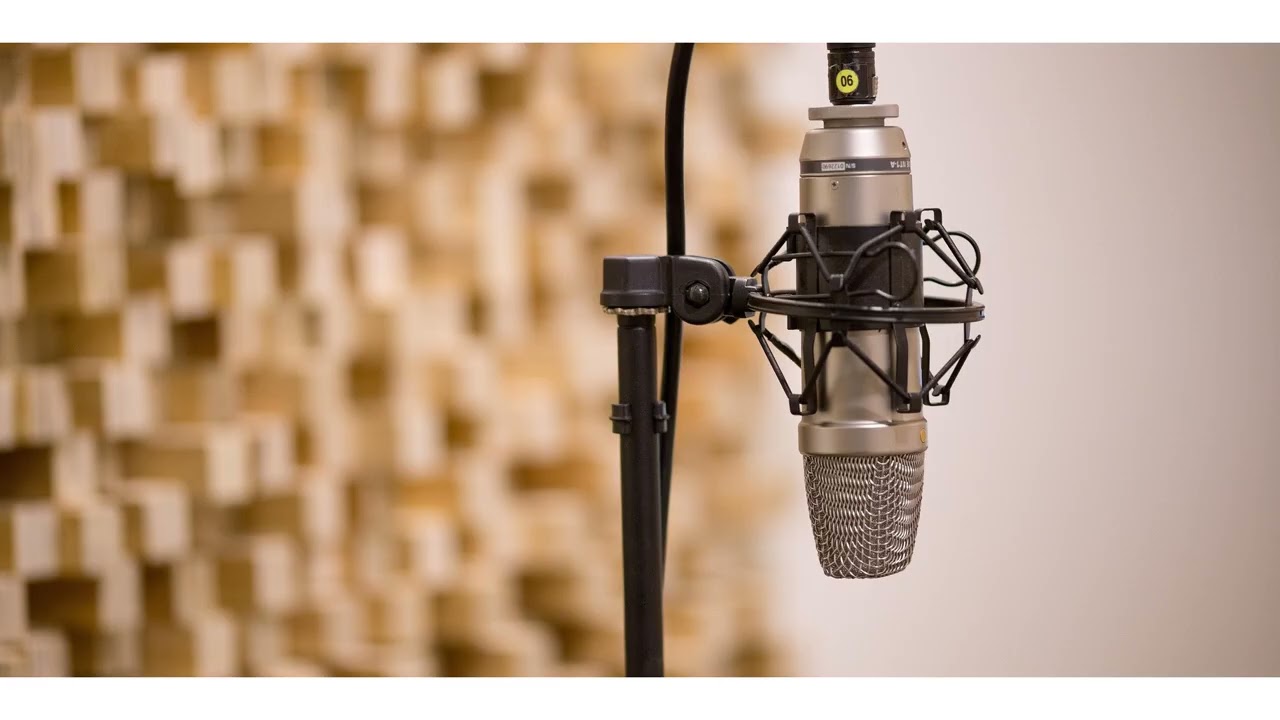 Spiderbait - Black Betty - Banjo (vocals backing track)