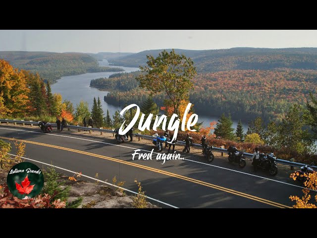 Jungle-Lyrics-Fred again..-KKBOX