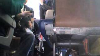 Penguins on a Plane (original)
