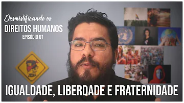 Que significado o lema liberdade igualdade e Fraternidade?