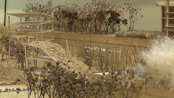 Study Landscape Architecture in UCD