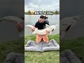 🤯клюнула рыба на 32кг #рыбалка #рыба #белуга #карп #fishing #flatfeeder #сазан #белыйамур #карась